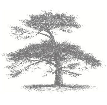Noble Custodio Árbol
