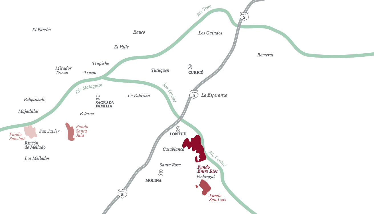 mapa_fundos viña pirazzoli